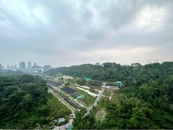 Normanton Park (D5), Apartment #598730481